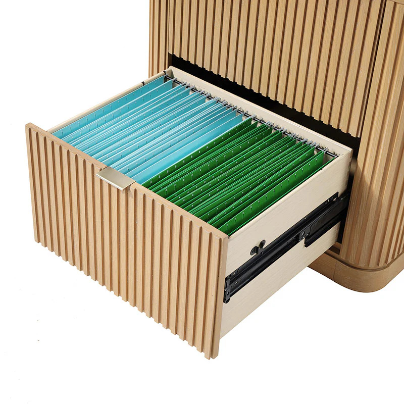 Emmanuel Modern  File Storage Cabinets & Chests - Image 16
